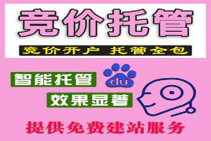 案例分享：SEM推广竞价代运营助力企业实现品牌升级
